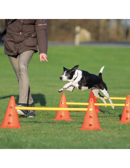 Trixie Germany Agility Obstacles (Pylon & Poles)