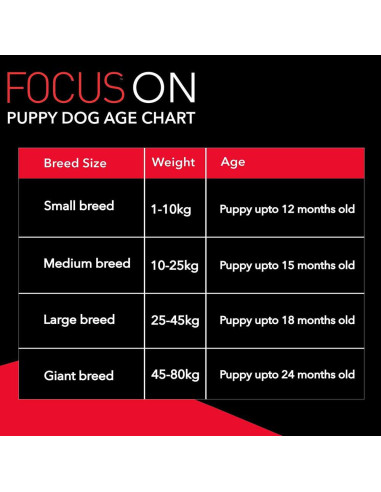 drools focus for labrador