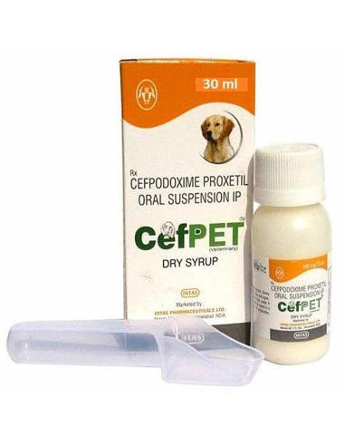 is childrens cough syrup safe for dogs