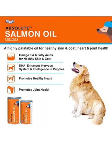 drools absolute salmon oil