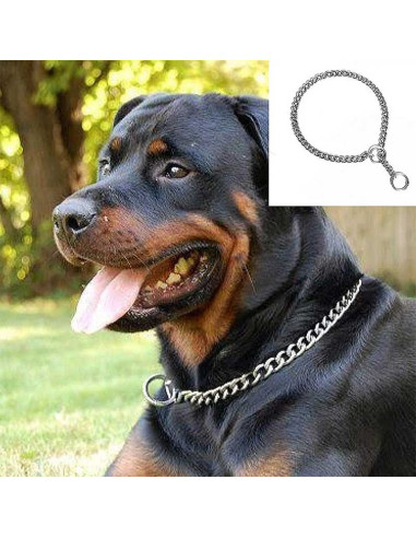 dog name chain collar