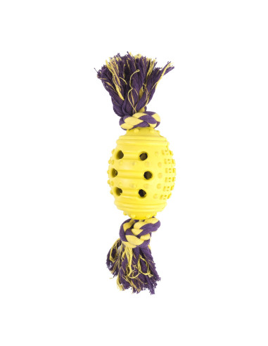 Pet Brand Rope & Rubber Ball