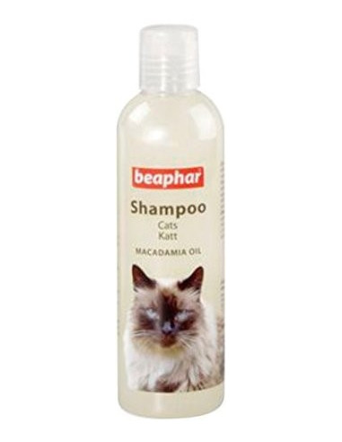 cat shampoo