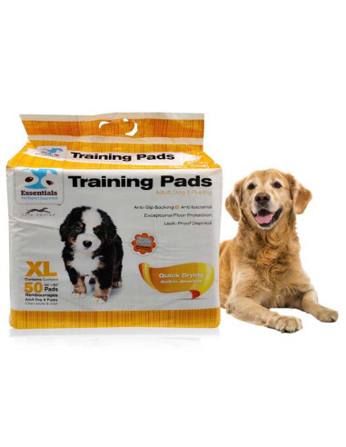 Essentials training clearance pads xl