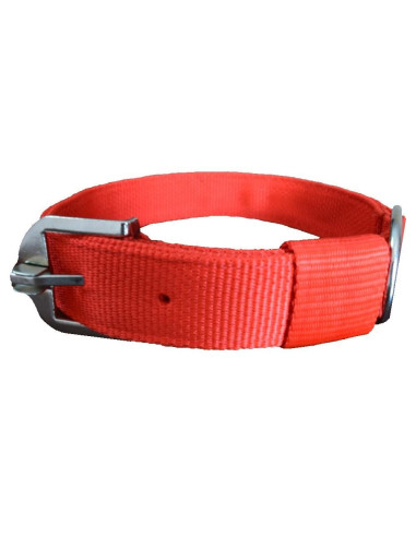 Pawzone  Classic Collar for Dogs Large 2 inch