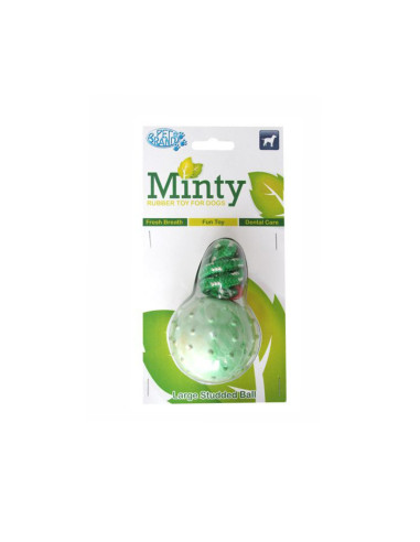 Pet Brand Minty Fresh Rubber Ball Dog Toy