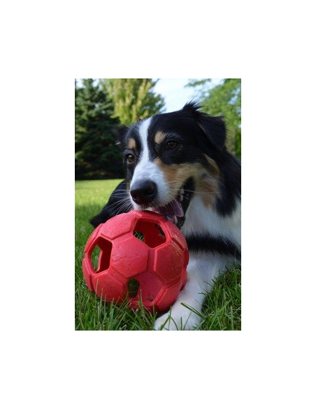 Petsport Turbo Kick Soccer Ball - 4 Inch