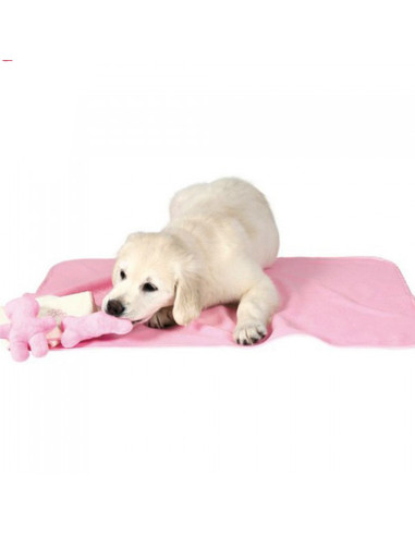 Trixie Puppy Starter Kit, Pink