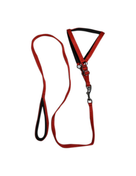 Pawzone Cat Body Harness With Leash Set
