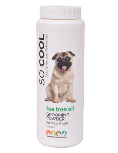 can dogs use teetree oil on their skin