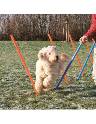  Trixie Dog Agility Slalom 