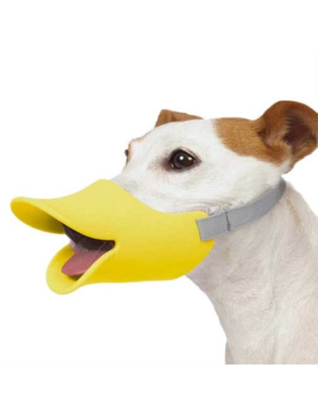 duck muzzle