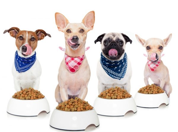 What Makes Acana Pet Food Premium Marshalls Pet Zone