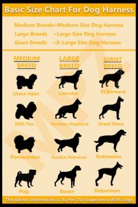 Dog Harness - Get The Perfect And Easy Measurement | Marshalls Pet Zone