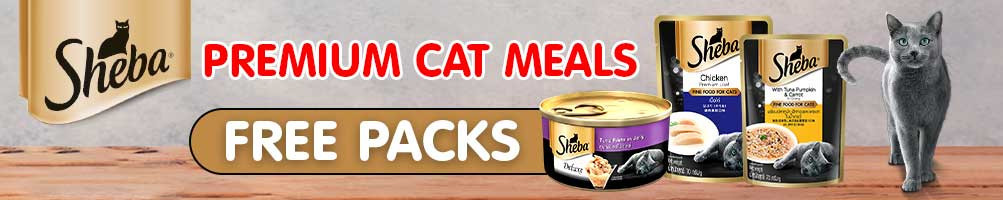 Buy Cat Food Pouches Online at best prices in India