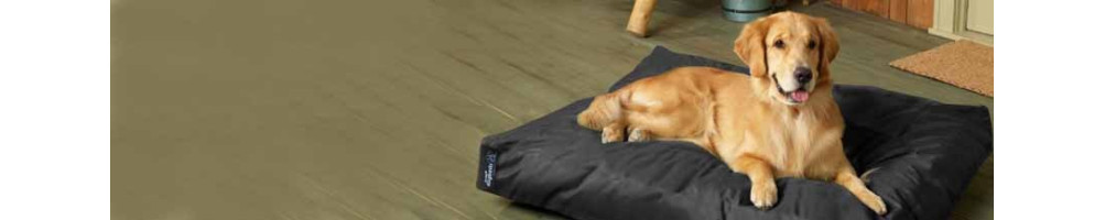 Buy Dog Flat Beds Online India - Get Upto 50% off on Dog beds